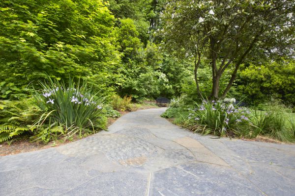 Stone Hardscape Service in Manchester